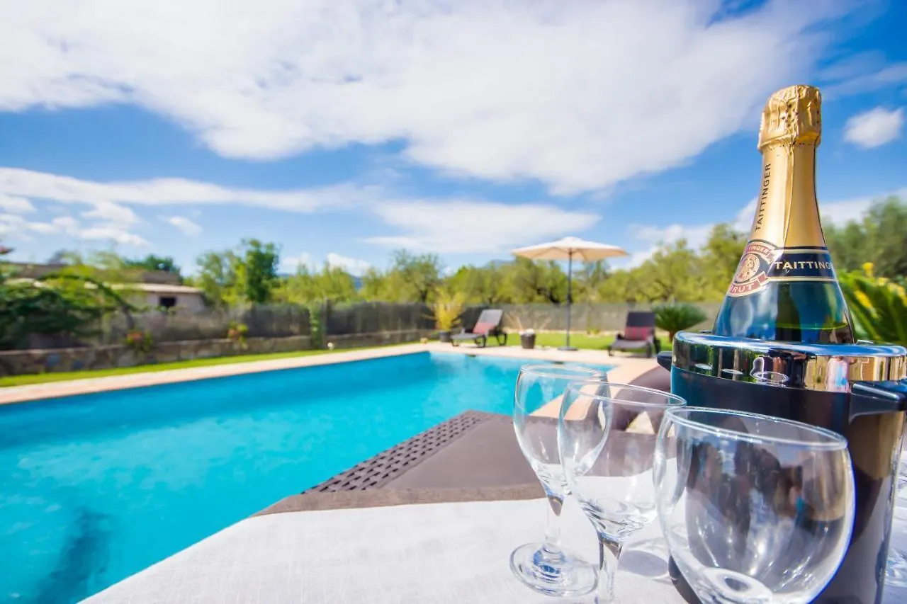 Ideal Property Mallorca - Puri Lloseta