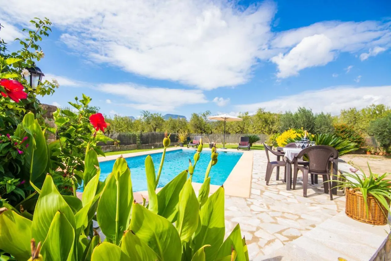 منزل ريفي يوسيتا Ideal Property Mallorca - Puri إسبانيا