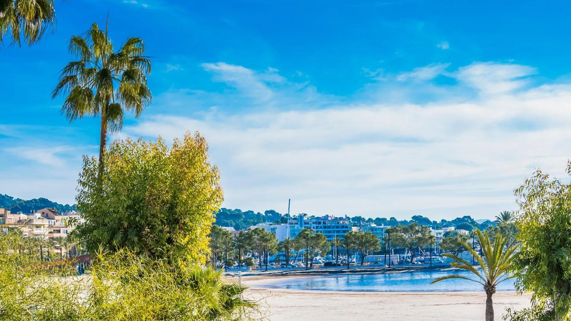 يوسيتا Ideal Property Mallorca - Puri